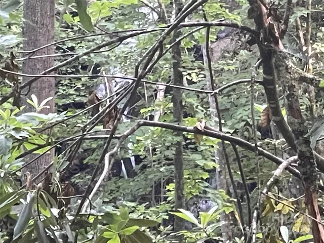 $89,000 | 2600 Canada Road, Tuckasegee, NC 28783