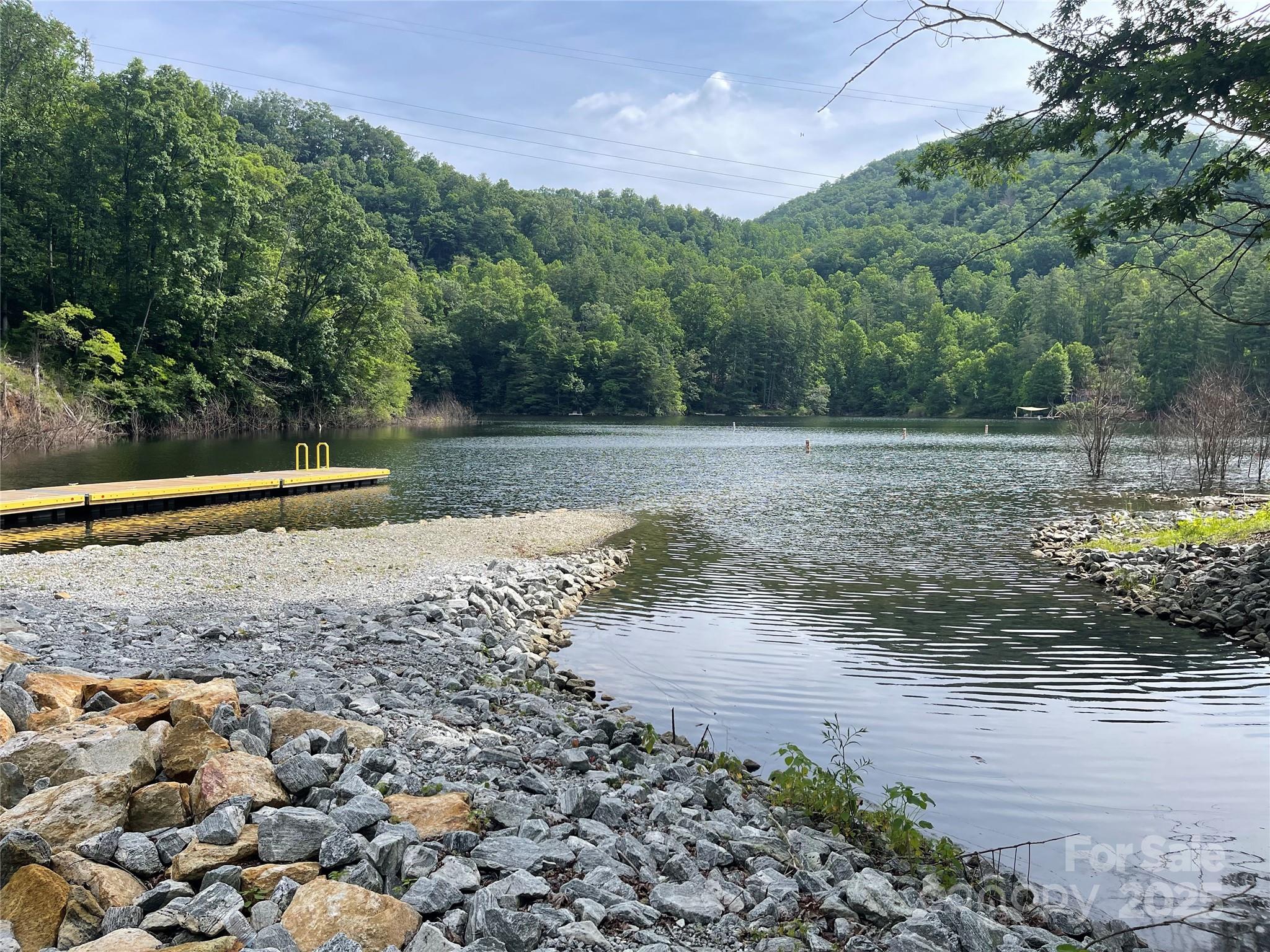 2600 Canada Road Tuckasegee, NC 28783 - Photo 5 of 9