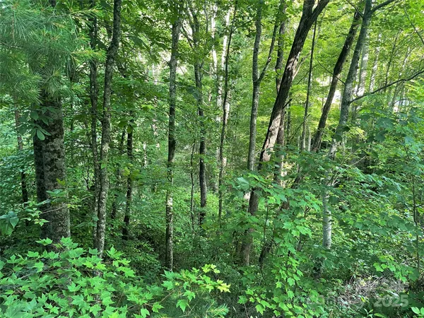 $89,000 | 2600 Canada Road, Tuckasegee, NC 28783