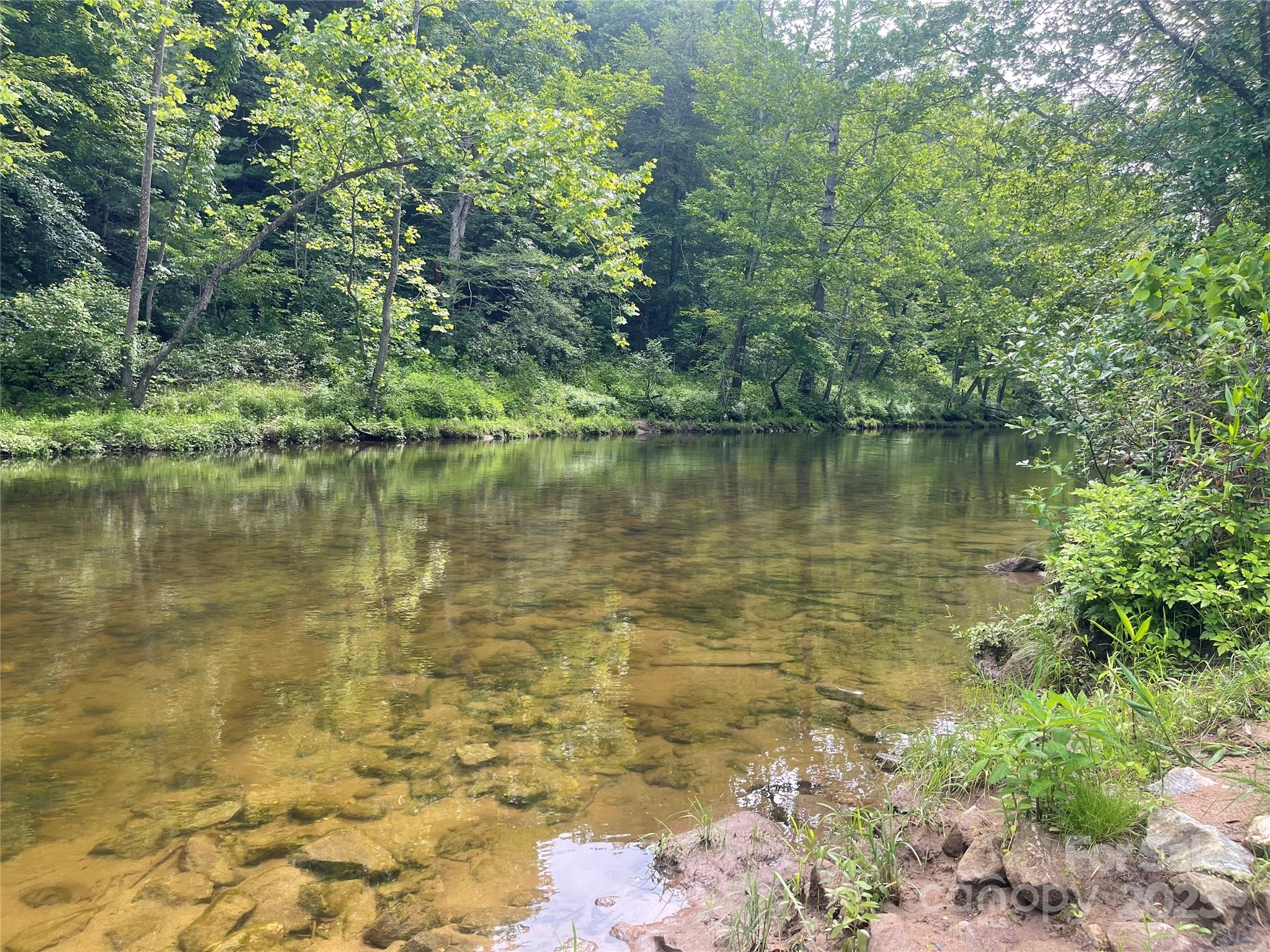 2600 Canada Road Tuckasegee, NC 28783 - Photo 7 of 9