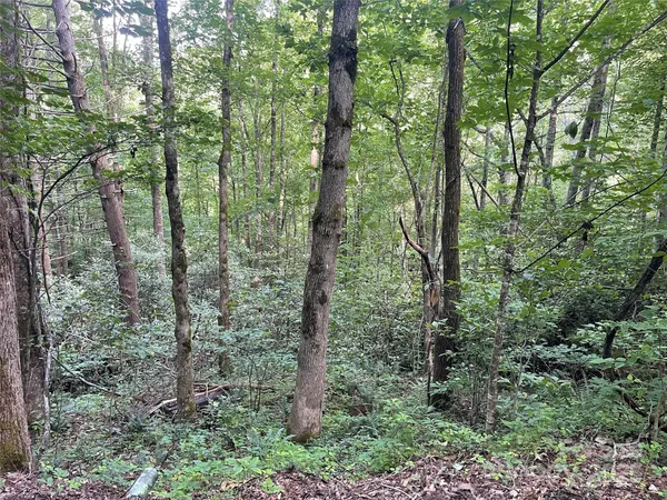 $89,000 | 2600 Canada Road, Tuckasegee, NC 28783