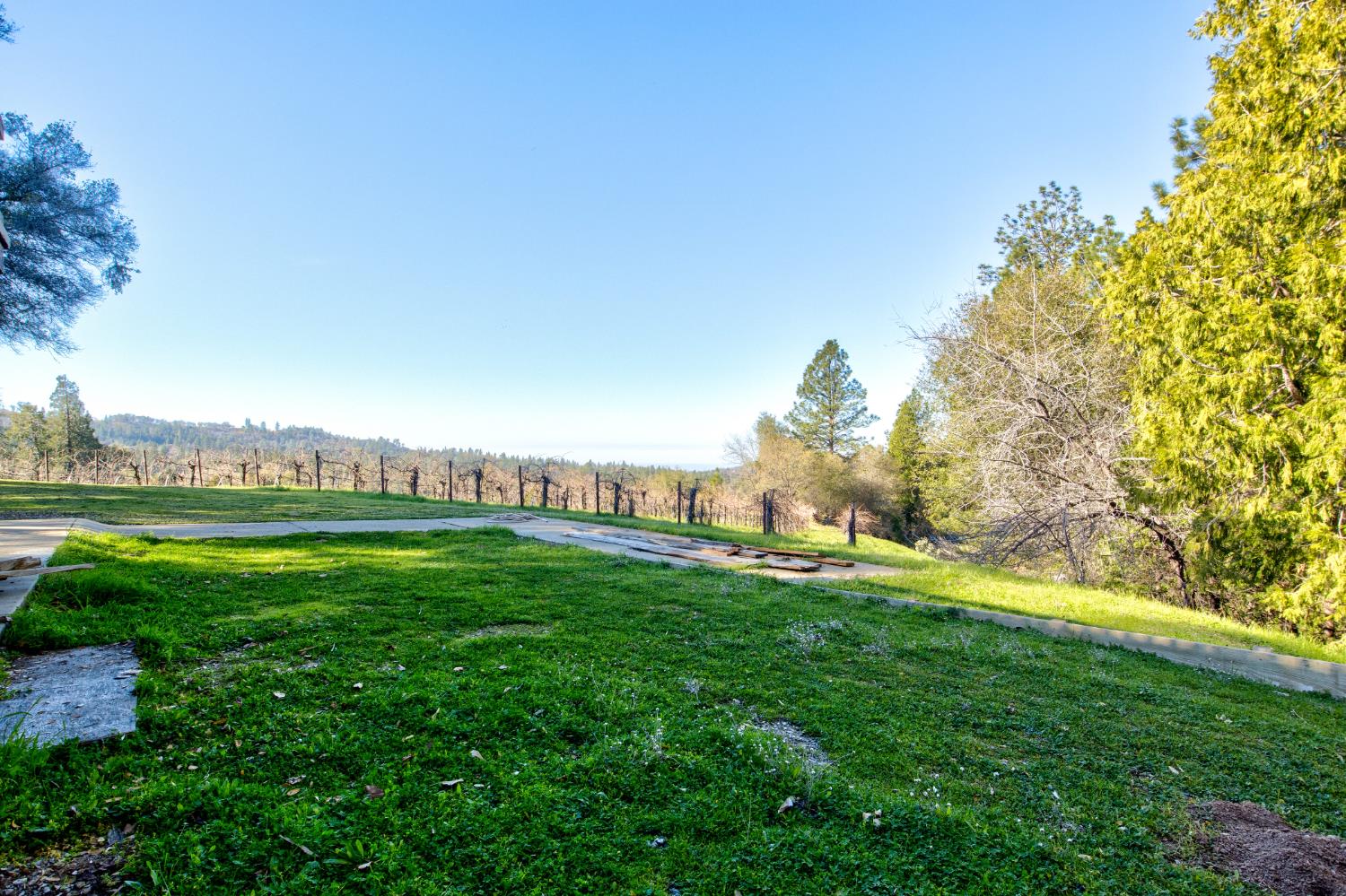 3900 Tawanka Road Somerset, CA 95684 - Photo 33 of 84 a view of a grassy field with an trees