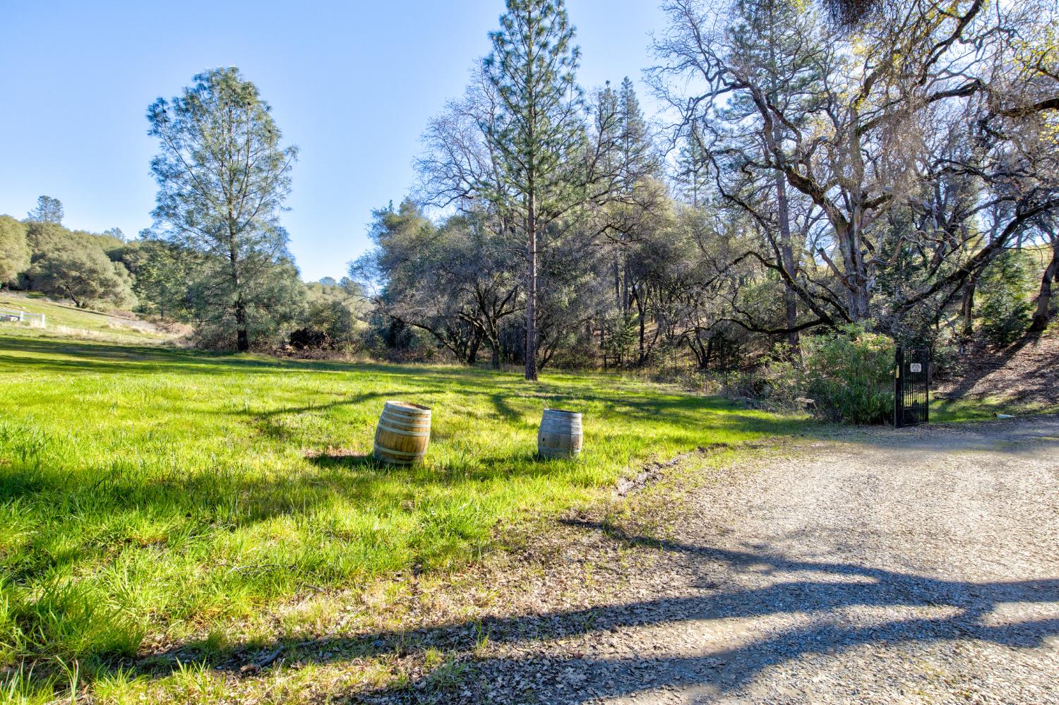 3900 Tawanka Road Somerset, CA 95684 - Photo 34 of 84 a view of a swimming pool with a yard