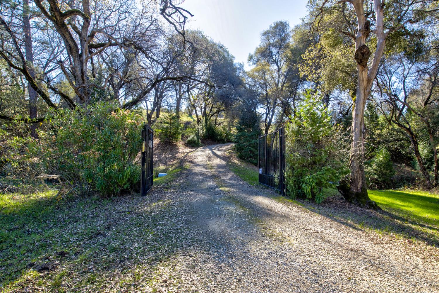 3900 Tawanka Road Somerset, CA 95684 - Photo 36 of 84 a view of a yard with large trees