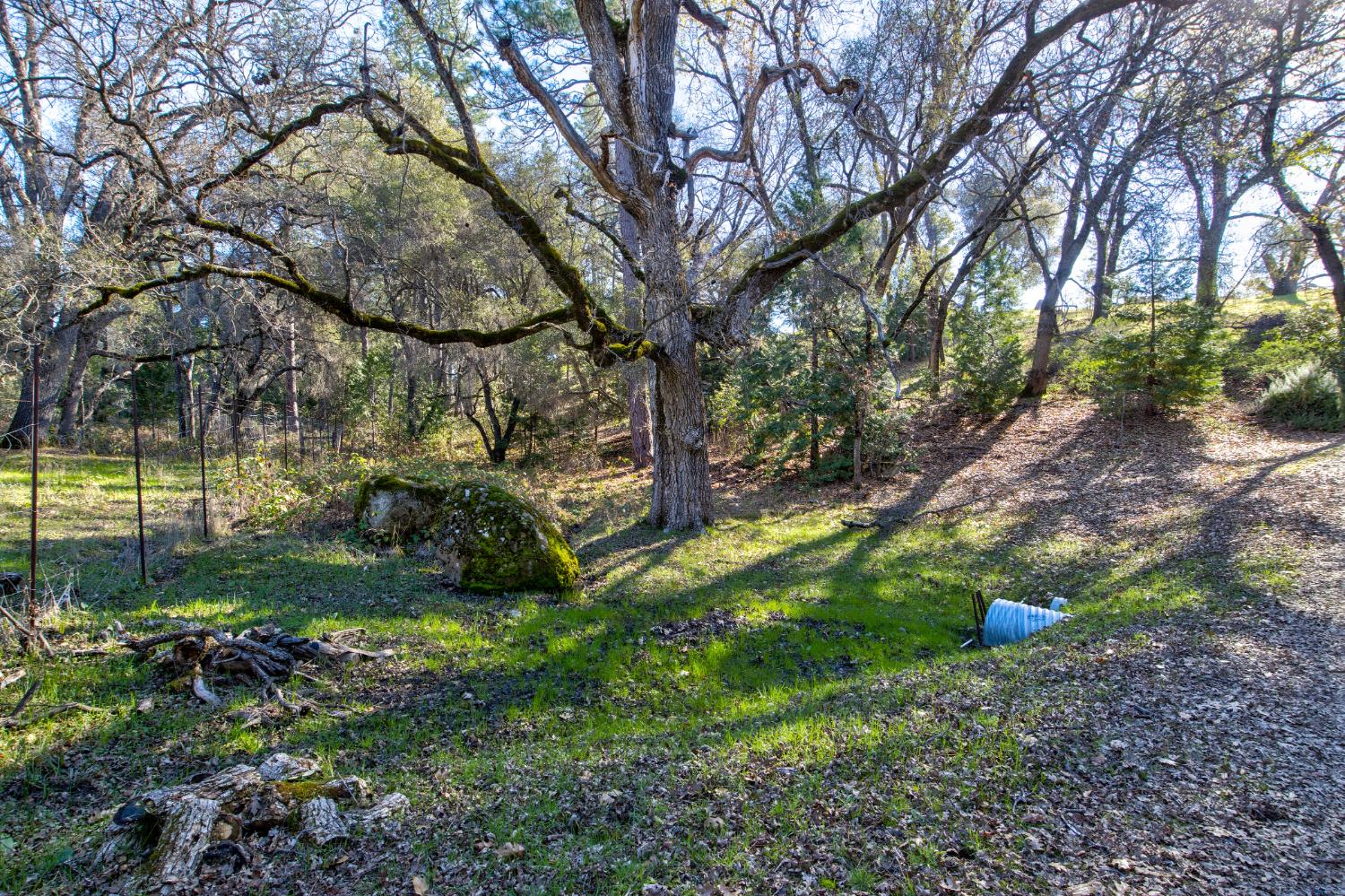 3900 Tawanka Road Somerset, CA 95684 - Photo 37 of 84 a view of a park with large trees