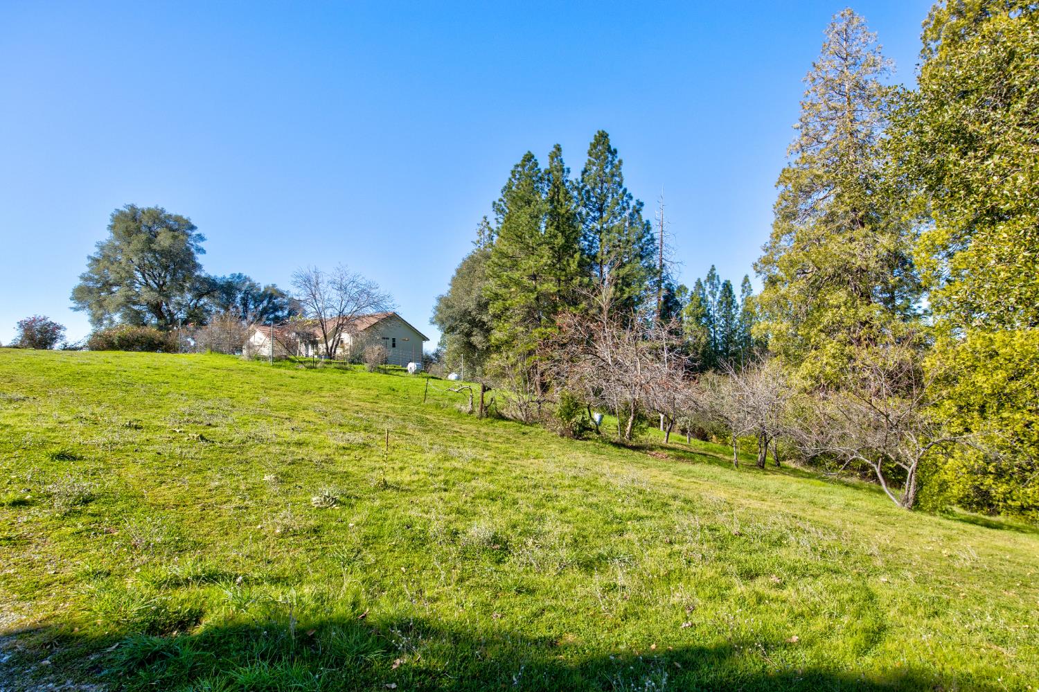 3900 Tawanka Road Somerset, CA 95684 - Photo 40 of 84