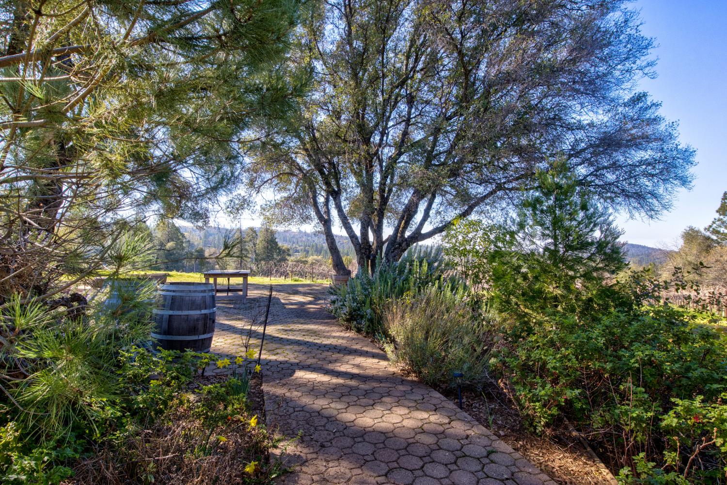 3900 Tawanka Road Somerset, CA 95684 - Photo 42 of 84