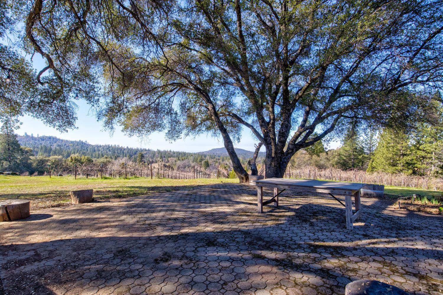 3900 Tawanka Road Somerset, CA 95684 - Photo 43 of 84