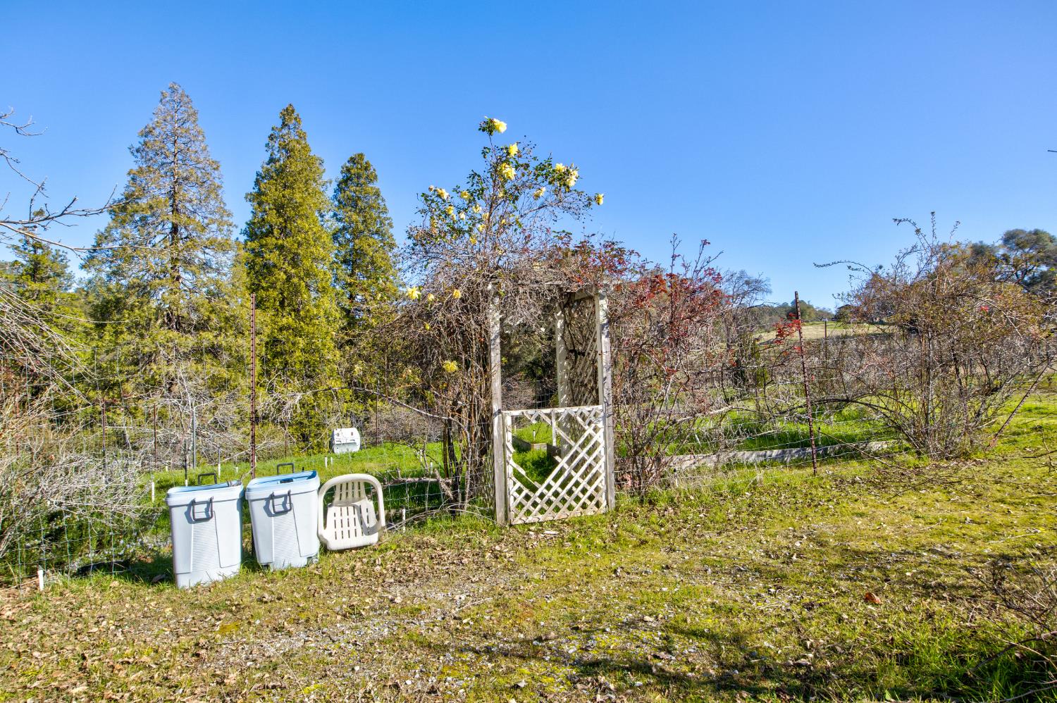 3900 Tawanka Road Somerset, CA 95684 - Photo 46 of 84