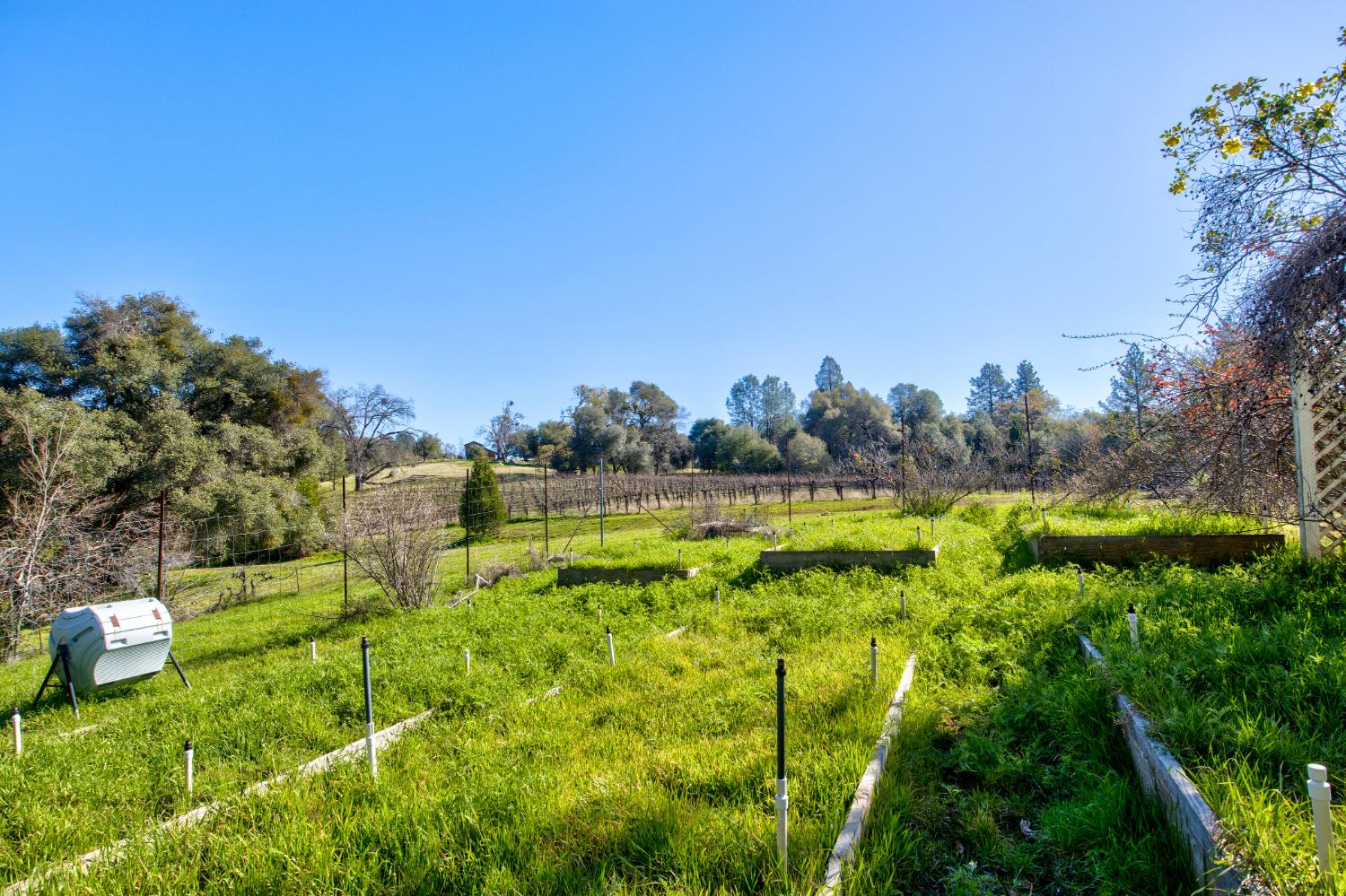 3900 Tawanka Road Somerset, CA 95684 - Photo 47 of 84
