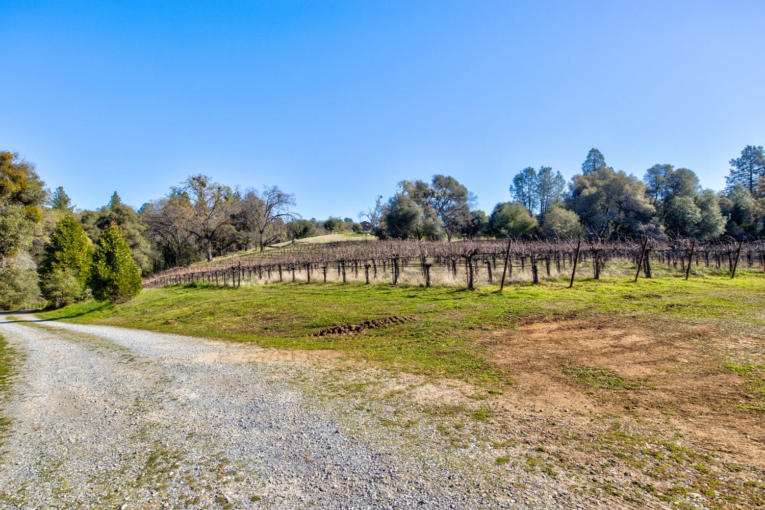 3900 Tawanka Road Somerset, CA 95684 - Photo 48 of 84 a view of a big house with a big yard and large trees