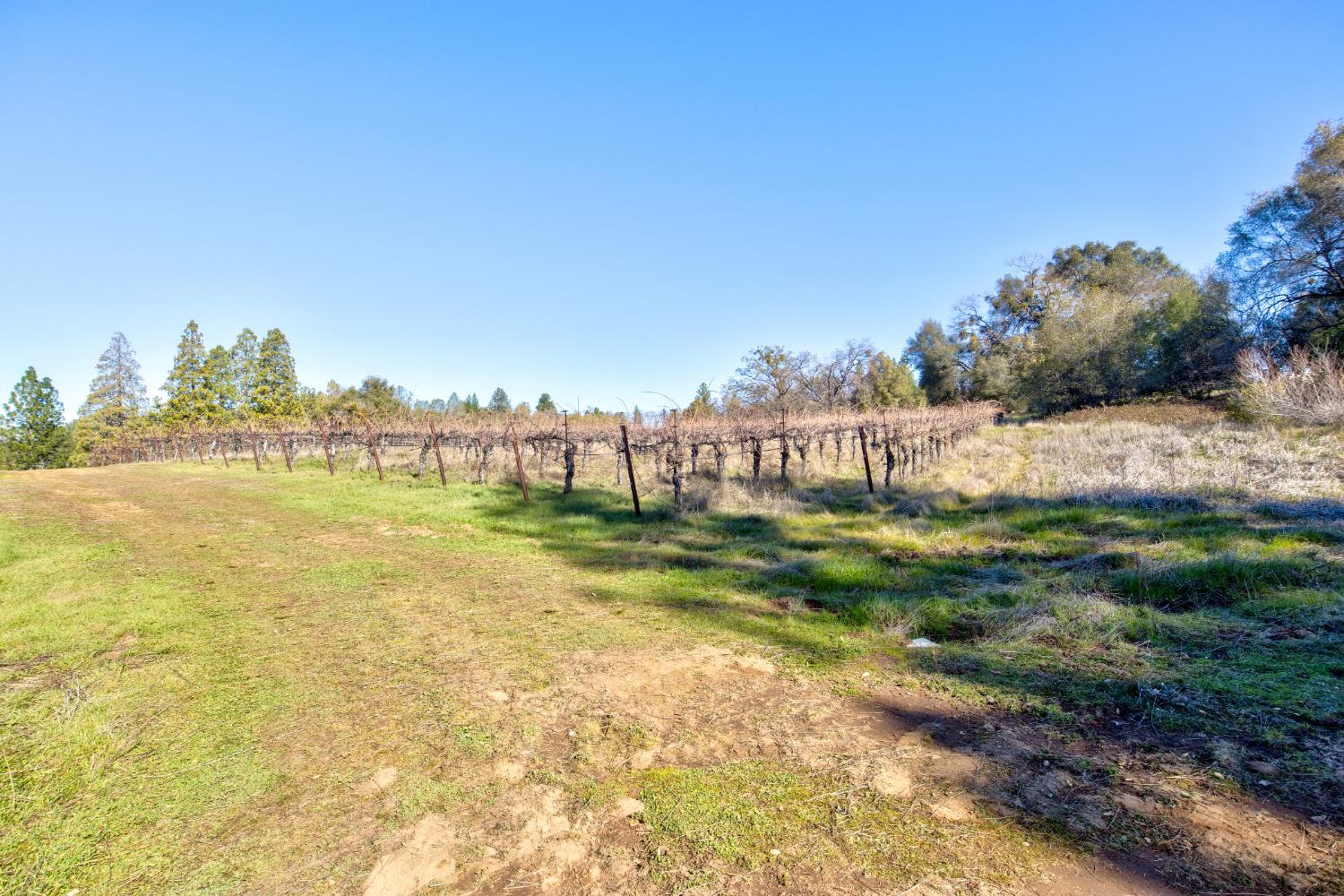 3900 Tawanka Road Somerset, CA 95684 - Photo 49 of 84