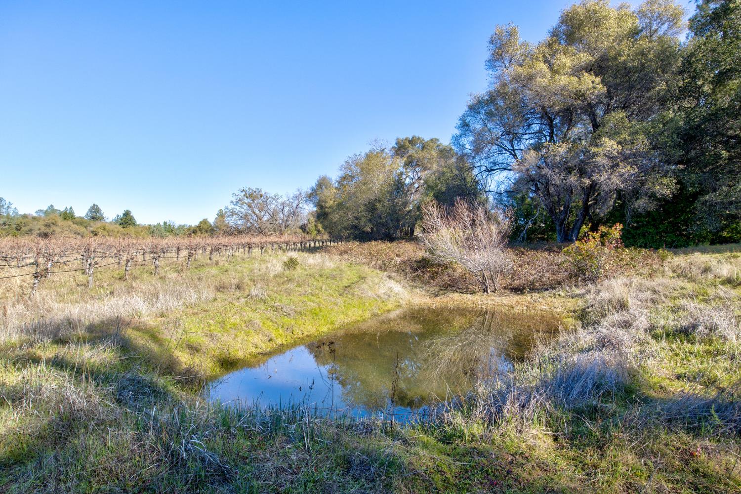 3900 Tawanka Road Somerset, CA 95684 - Photo 50 of 84 a view of lake view