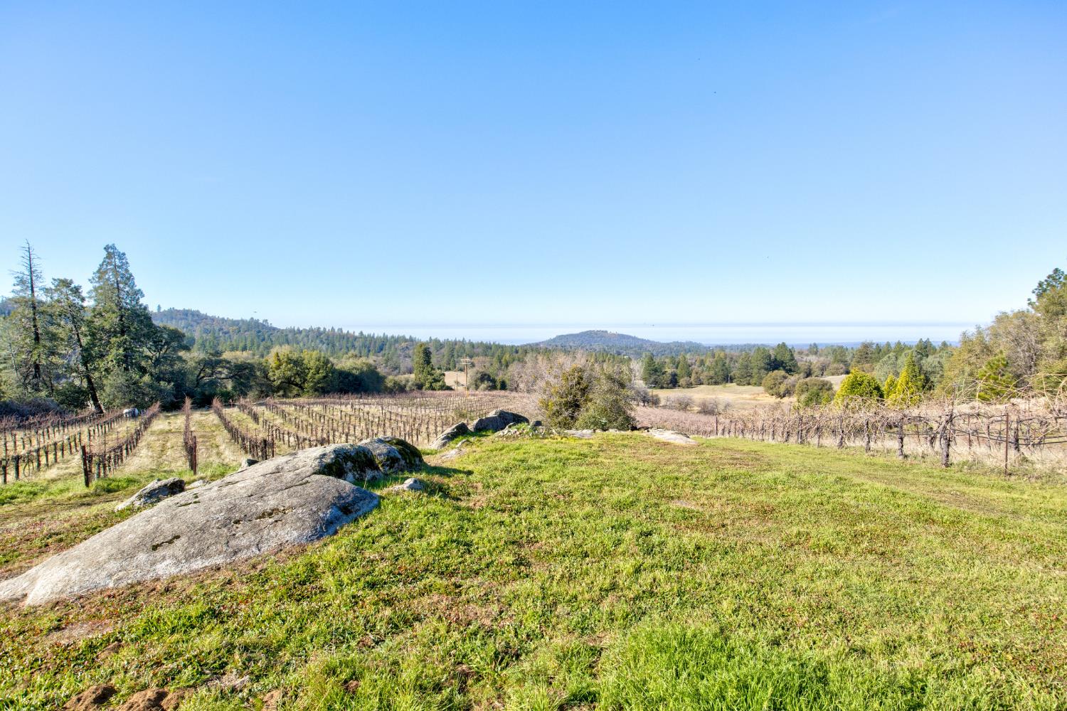 3900 Tawanka Road Somerset, CA 95684 - Photo 56 of 84 a view of a lake with houses in the back