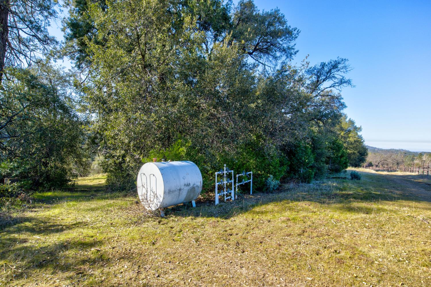 3900 Tawanka Road Somerset, CA 95684 - Photo 58 of 84 a backyard of a house with yard and outdoor seating
