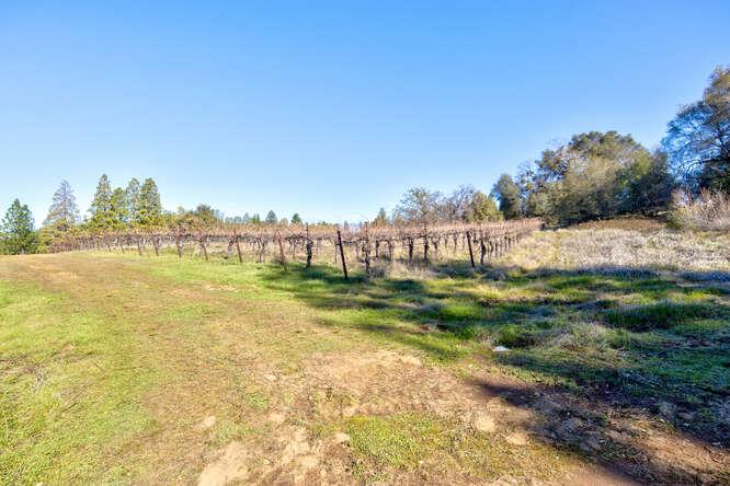 3900 Tawanka Road Somerset, CA 95684 - Photo 58 of 89