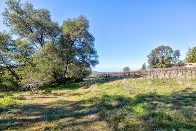 3900 Tawanka Road Somerset, CA 95684 - Photo 61 of 89