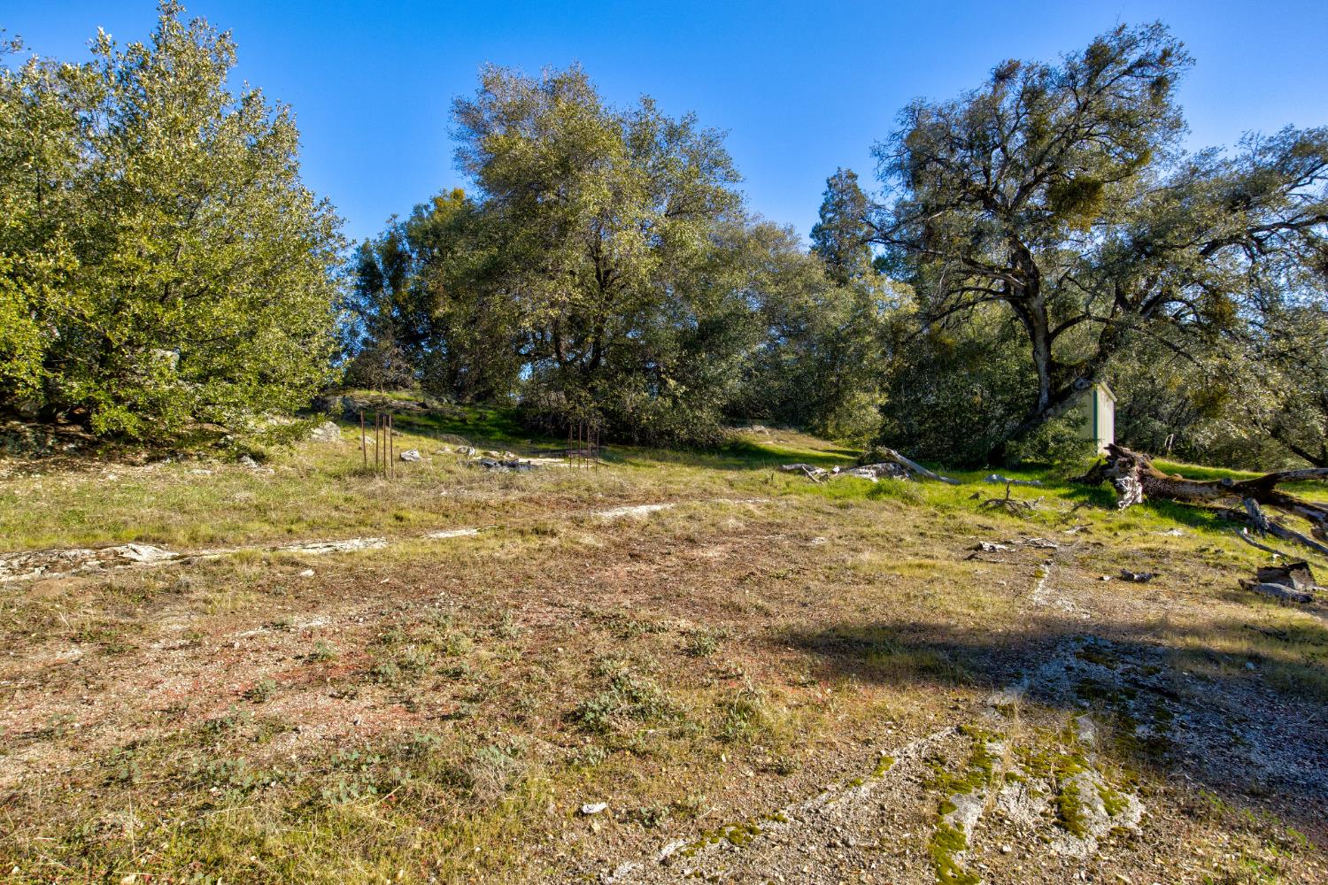 3900 Tawanka Road Somerset, CA 95684 - Photo 62 of 84 a view of a yard with a tree