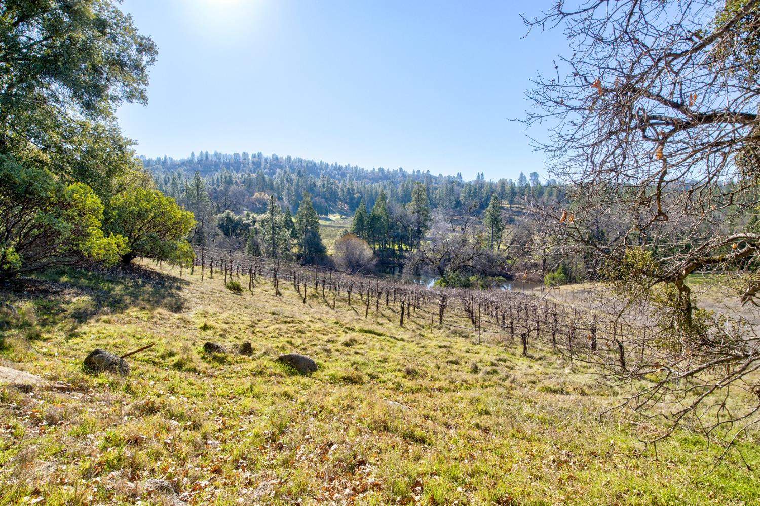 3900 Tawanka Road Somerset, CA 95684 - Photo 63 of 84