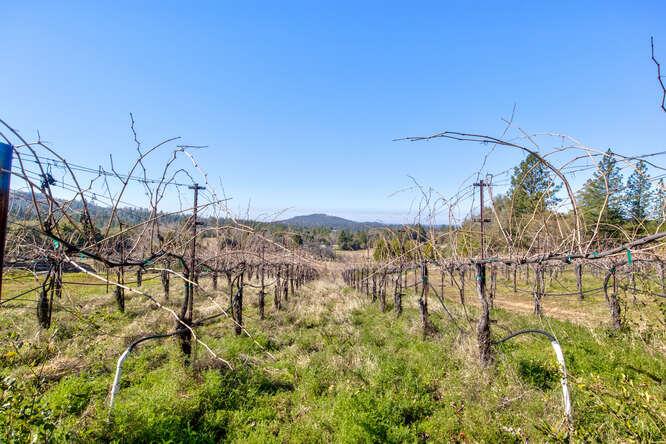 3900 Tawanka Road Somerset, CA 95684 - Photo 64 of 89