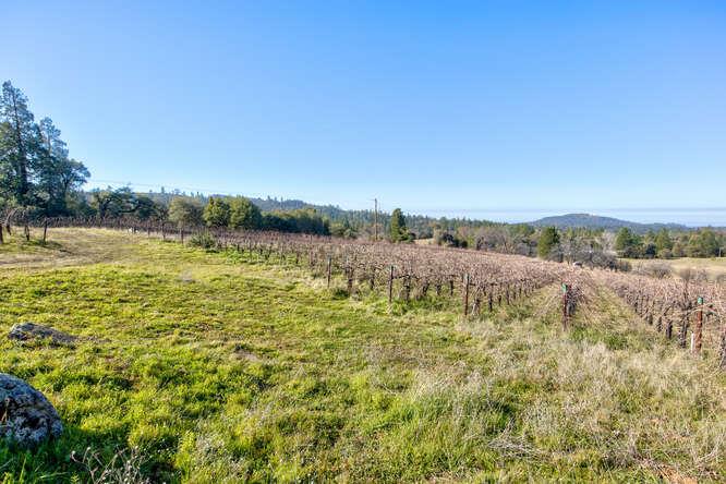 3900 Tawanka Road Somerset, CA 95684 - Photo 66 of 89