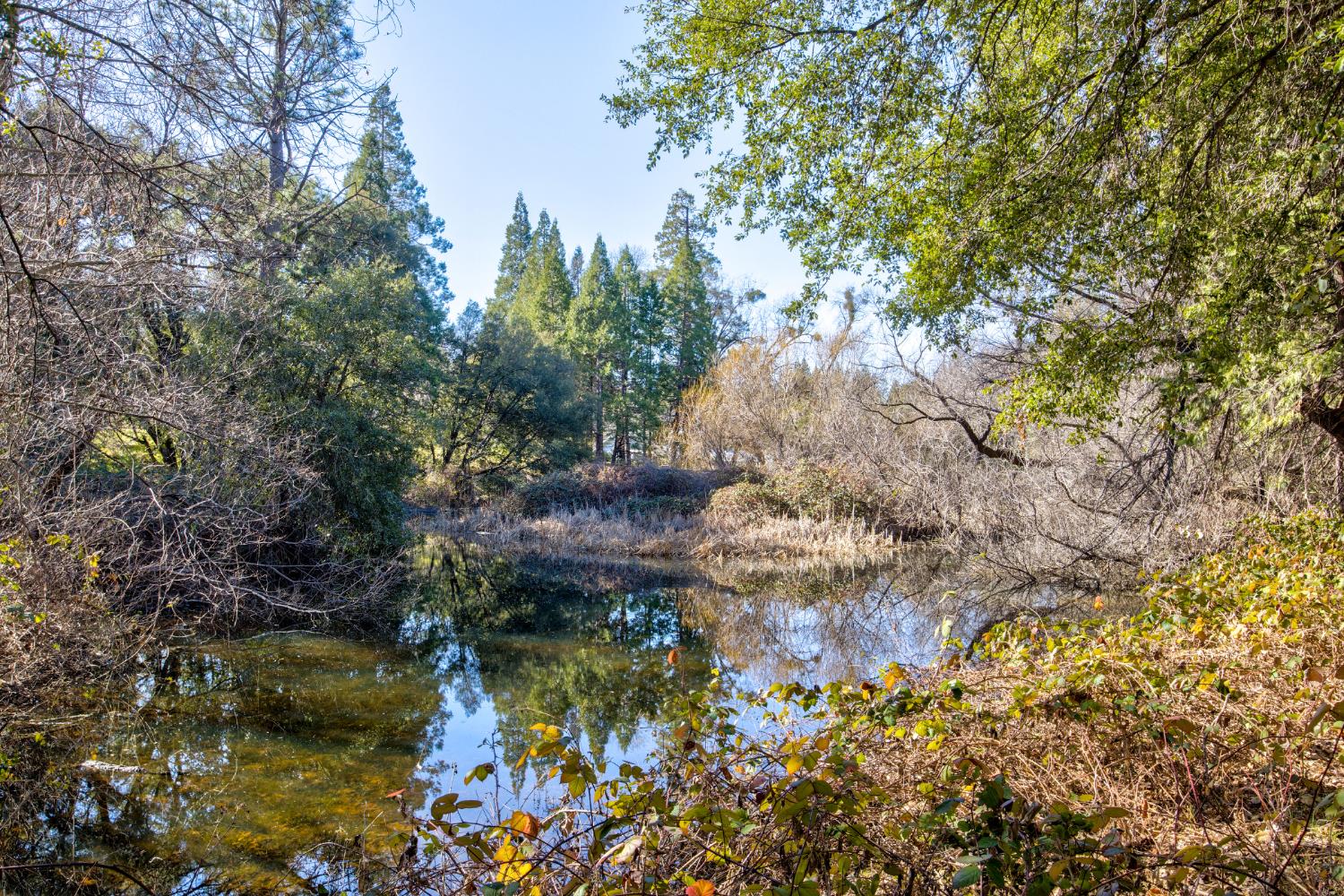 3900 Tawanka Road Somerset, CA 95684 - Photo 68 of 84