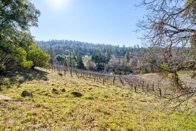 3900 Tawanka Road Somerset, CA 95684 - Photo 72 of 89