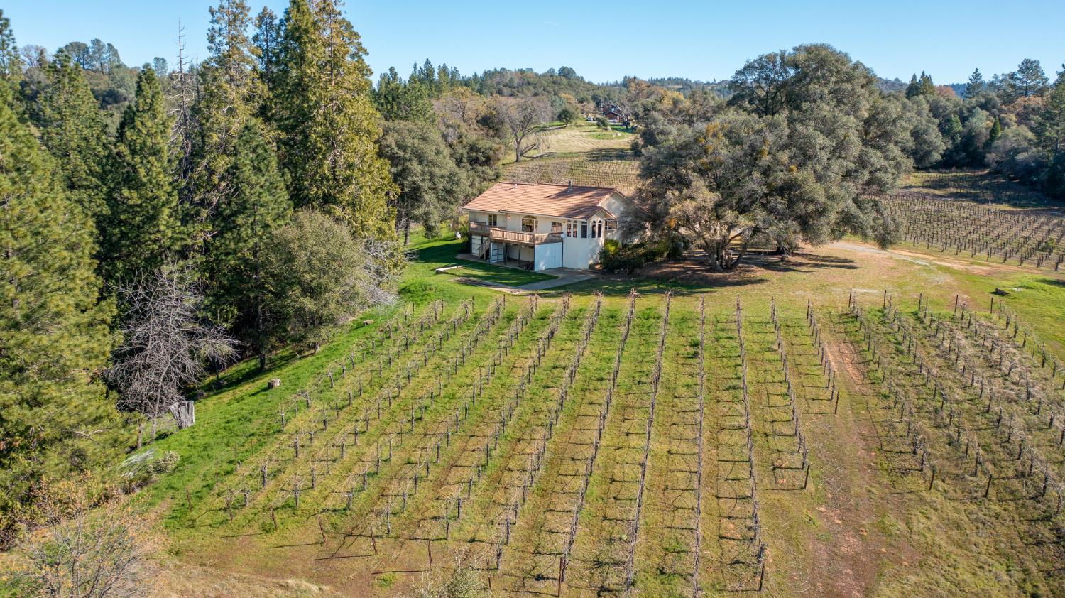 3900 Tawanka Road Somerset, CA 95684 - Photo 73 of 84