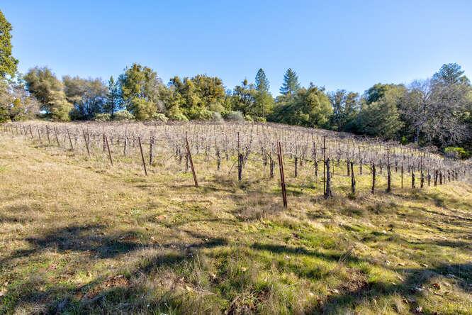 3900 Tawanka Road Somerset, CA 95684 - Photo 73 of 89