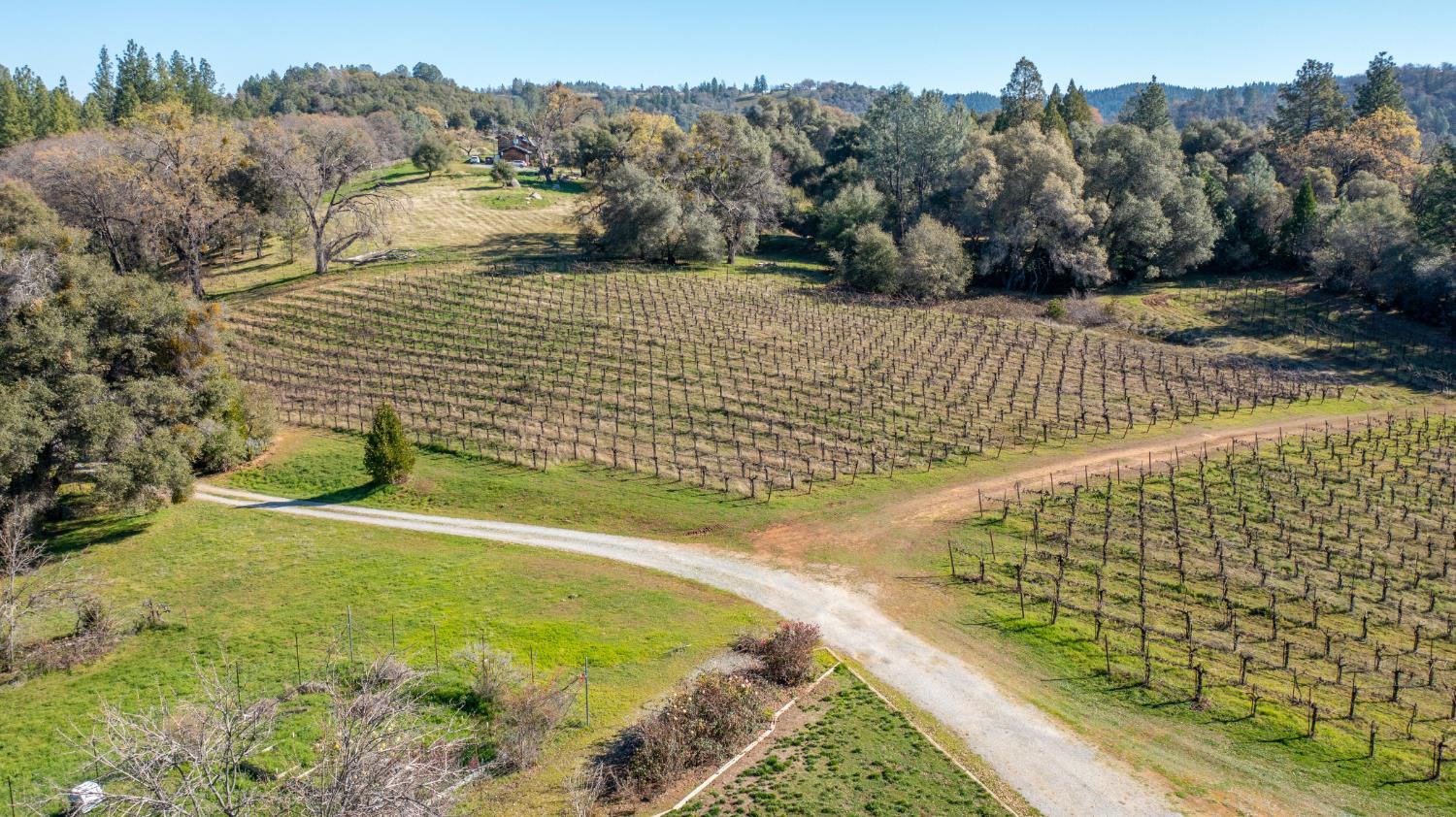3900 Tawanka Road Somerset, CA 95684 - Photo 74 of 84 a view of a swimming pool and a yard