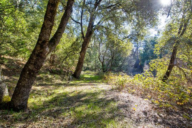 3900 Tawanka Road Somerset, CA 95684 - Photo 76 of 89