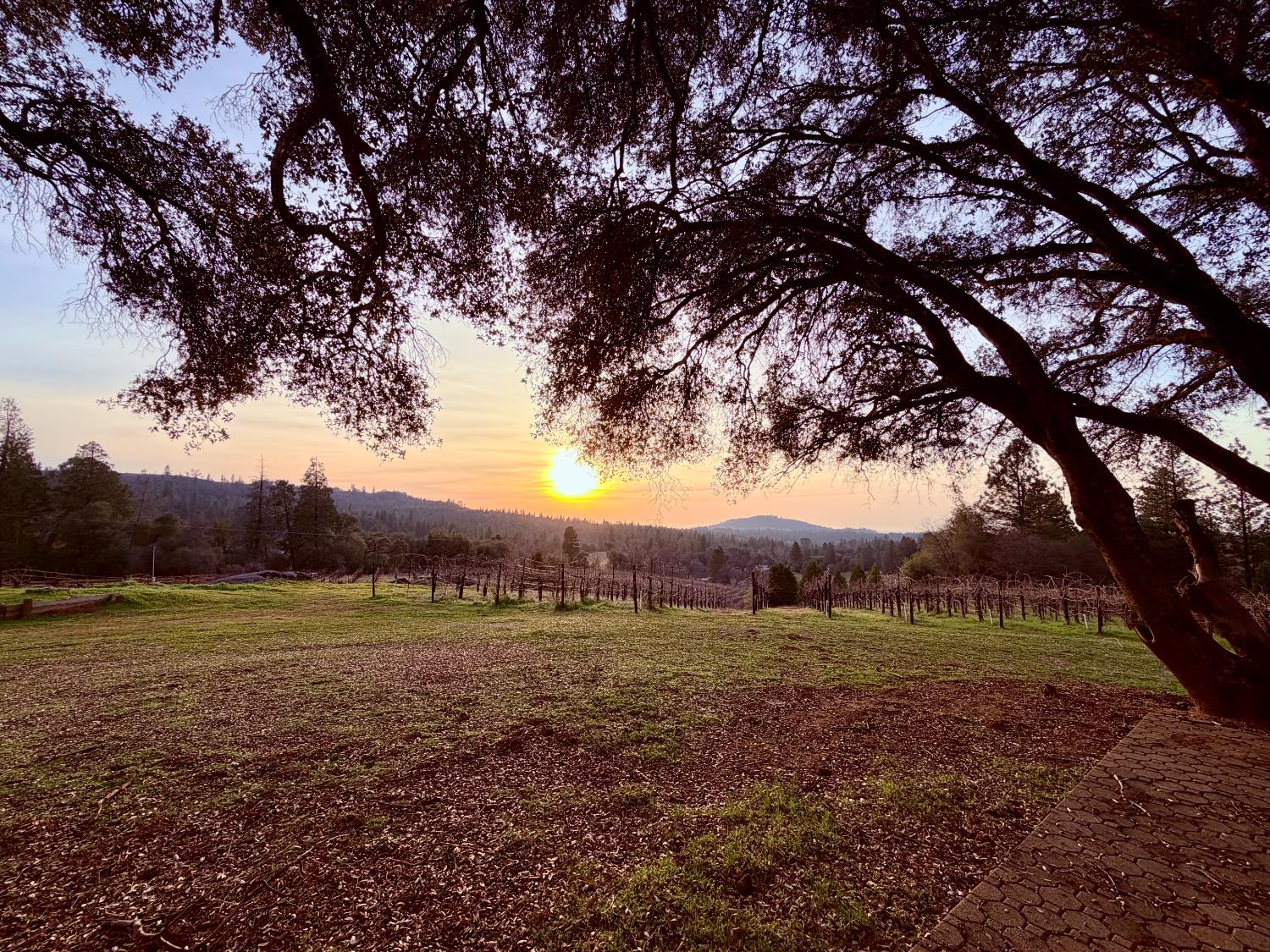 3900 Tawanka Road Somerset, CA 95684 - Photo 81 of 84