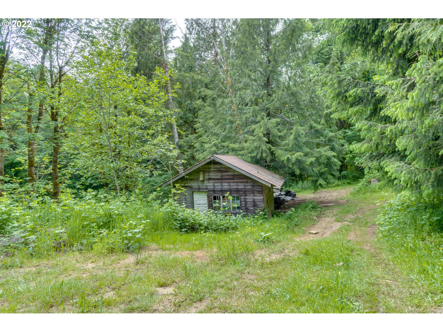 1045 Coal Creek Road Longview, WA 98632 - Photo 27 of 32 a yellow house with lots of trees