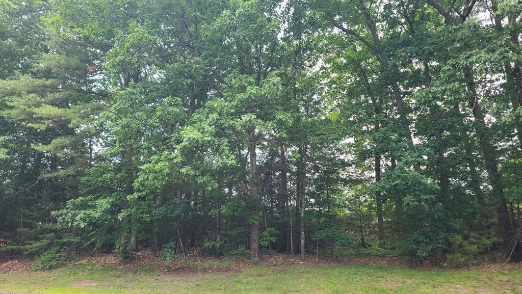 380a Great Road, Unit 304A Acton, MA 01720 - Photo 26 of 26 Gallery Image 26