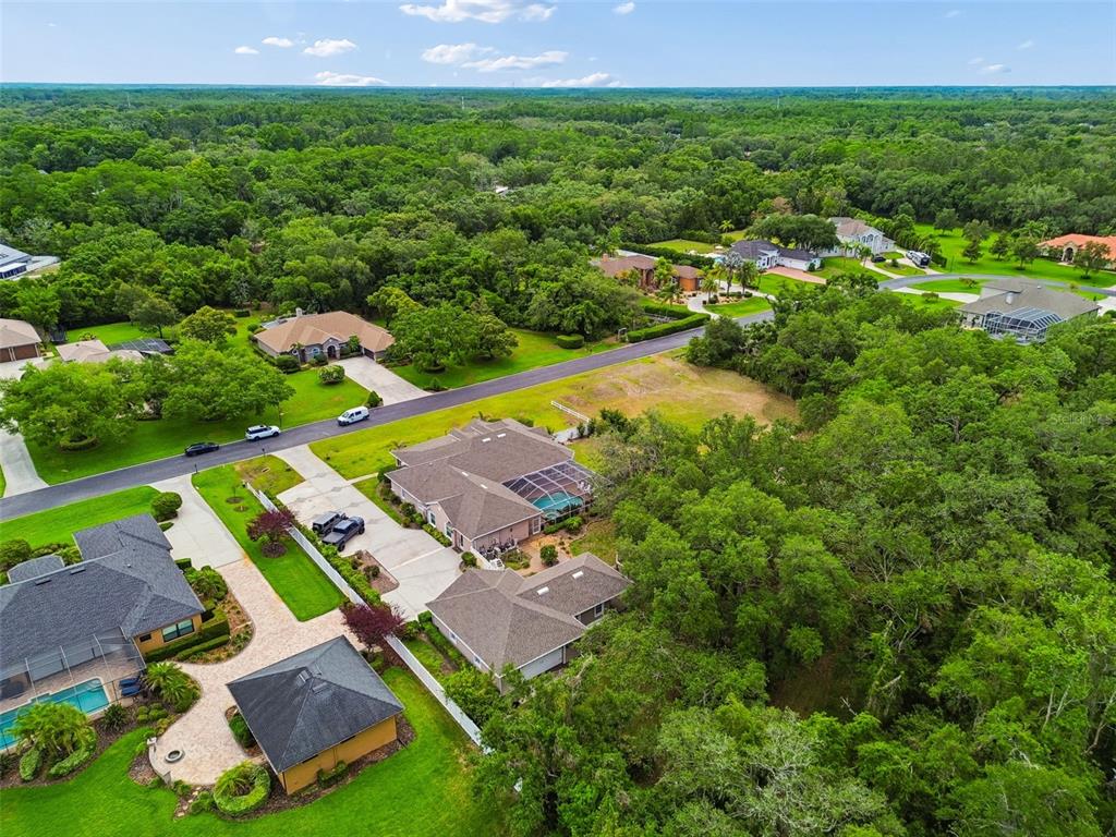 1349 Oak Meadow Point New Port Richey, FL 34655 - Photo 6 of 48
