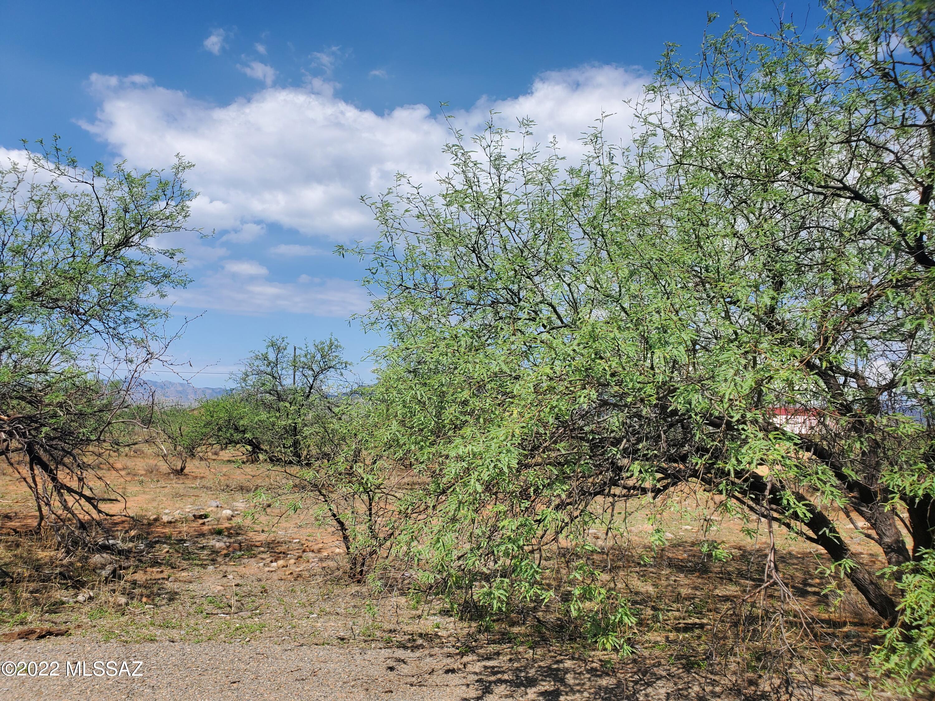 1838 Fortis Court, Unit 13 Rio Rico, AZ 85648 - Photo 5 of 8