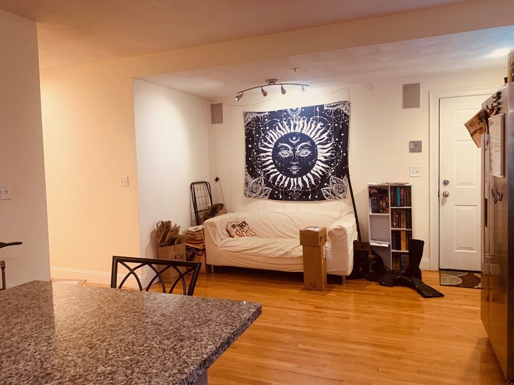 128 Hillside Street, Unit 1 Boston, MA 02120 - Photo 6 of 12