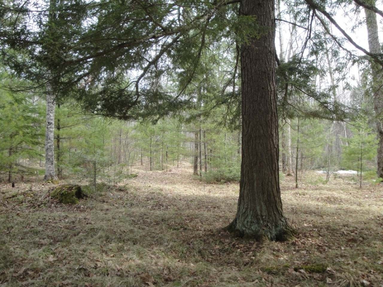 37-acres 37-acres Slizewski Road Rhinelander, WI 54501 - Photo 9 of 16 Gallery Image 9