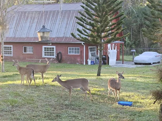 $786,000 | Undisclosed Address, Orlando, FL 32828