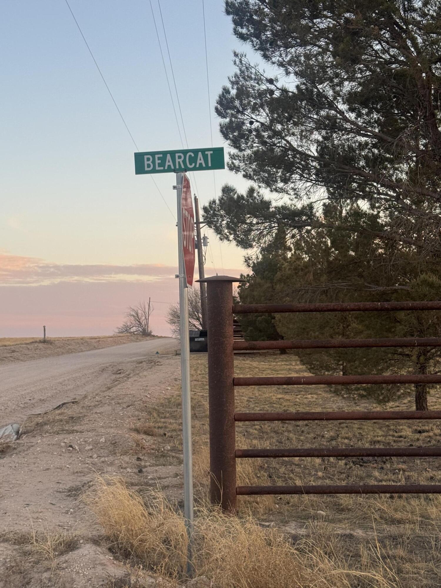 Bearcat Rd Bearcat Lubbock, TX 79407 - Photo 4 of 6 a street sign on a sidewalk next to a road