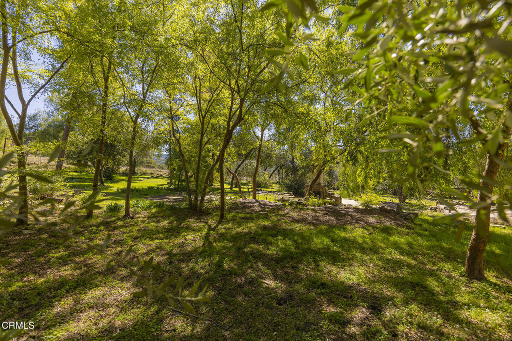 1320 McAndrew Road Ojai, CA 93023 - Photo 17 of 28 Lush
