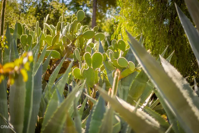 $995,000 | 1320 McAndrew Road, Ojai, CA 93023