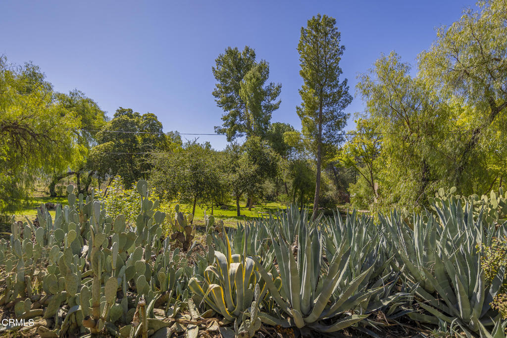 1320 McAndrew Road Ojai, CA 93023 - Photo 19 of 28 One-Of-A-Kind