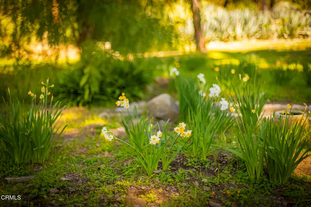 $995,000 | 1320 McAndrew Road, Ojai, CA 93023