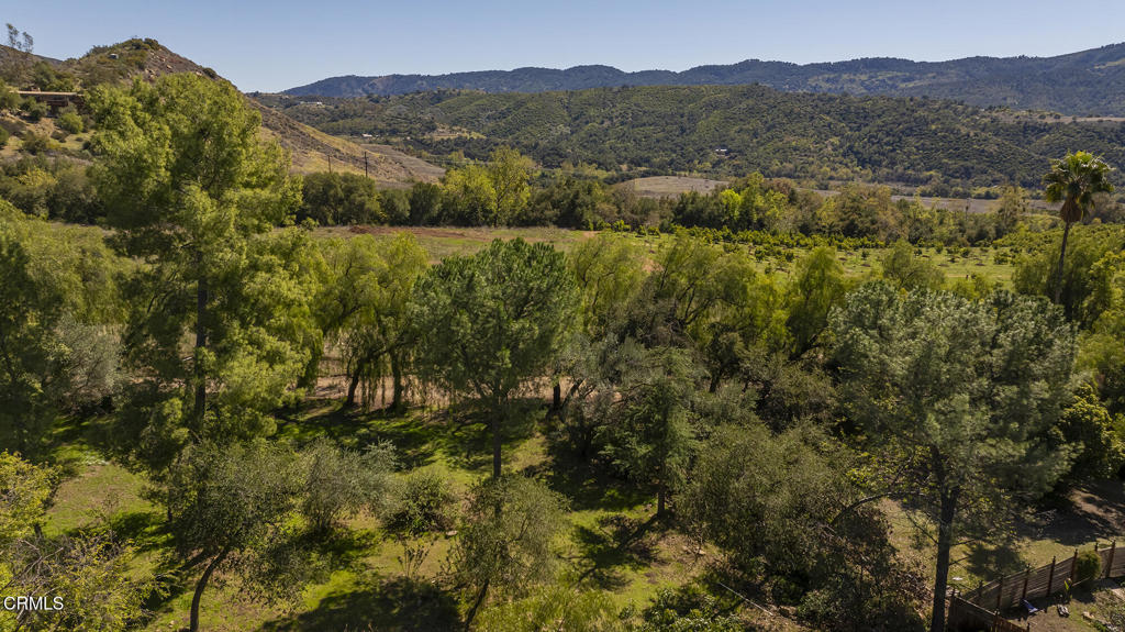 1320 McAndrew Road Ojai, CA 93023 - Photo 26 of 28 Nature