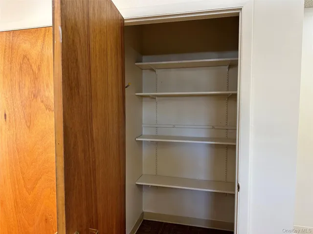 a view of walk in closet with empty racks