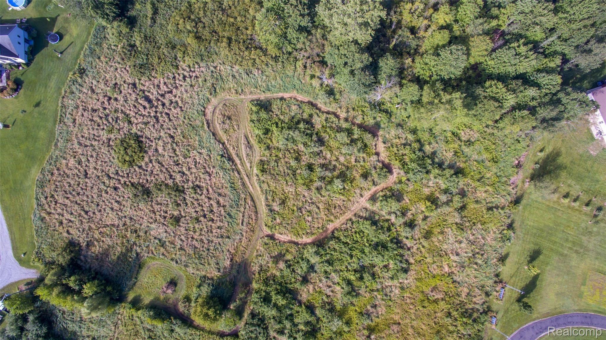 DJI_0323.jpg
