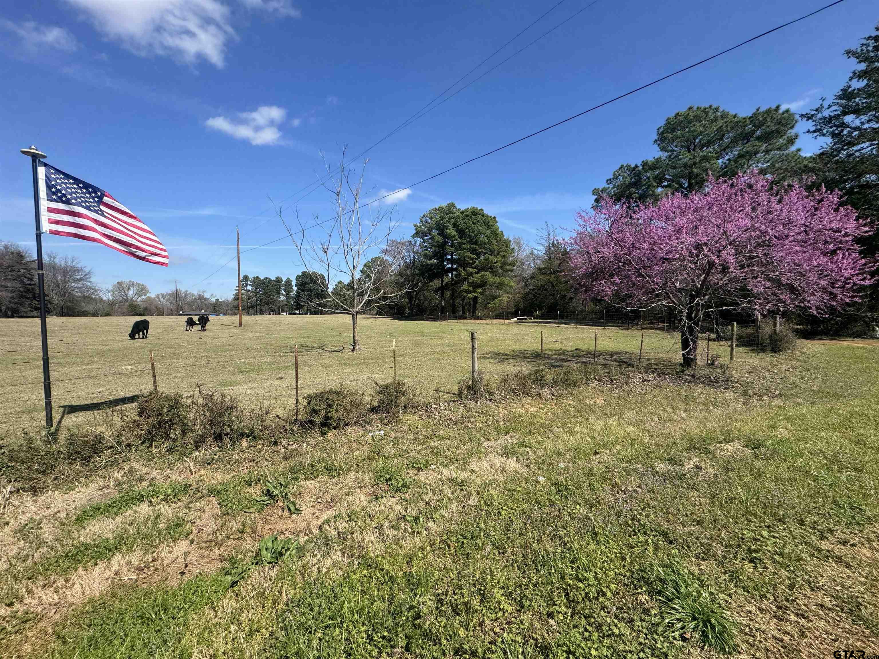 3640 VZ County Road Ben Wheeler, TX 75754 - Photo 2 of 30 a view of a yard with an tree
