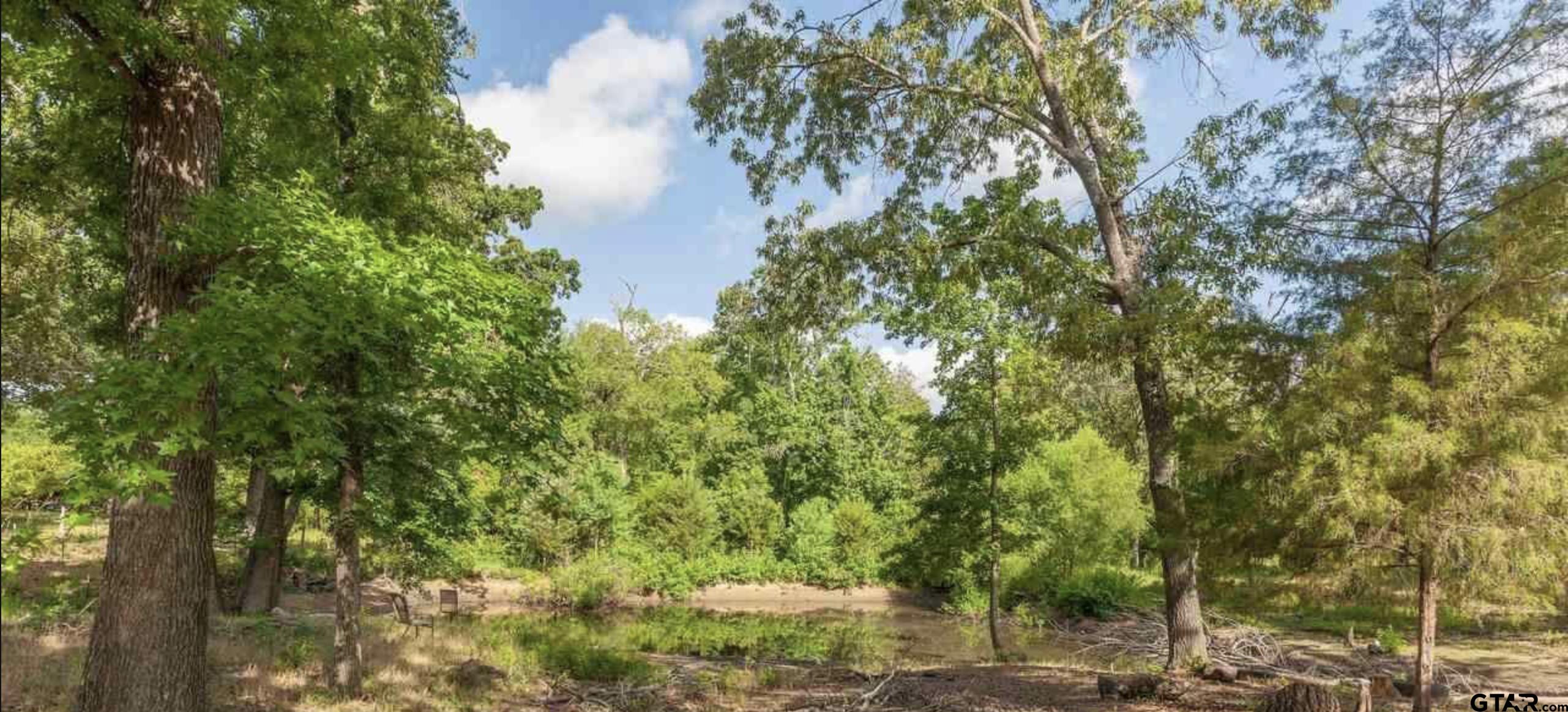3640 VZ County Road Ben Wheeler, TX 75754 - Photo 21 of 30 a view of a tree with a house in front of it