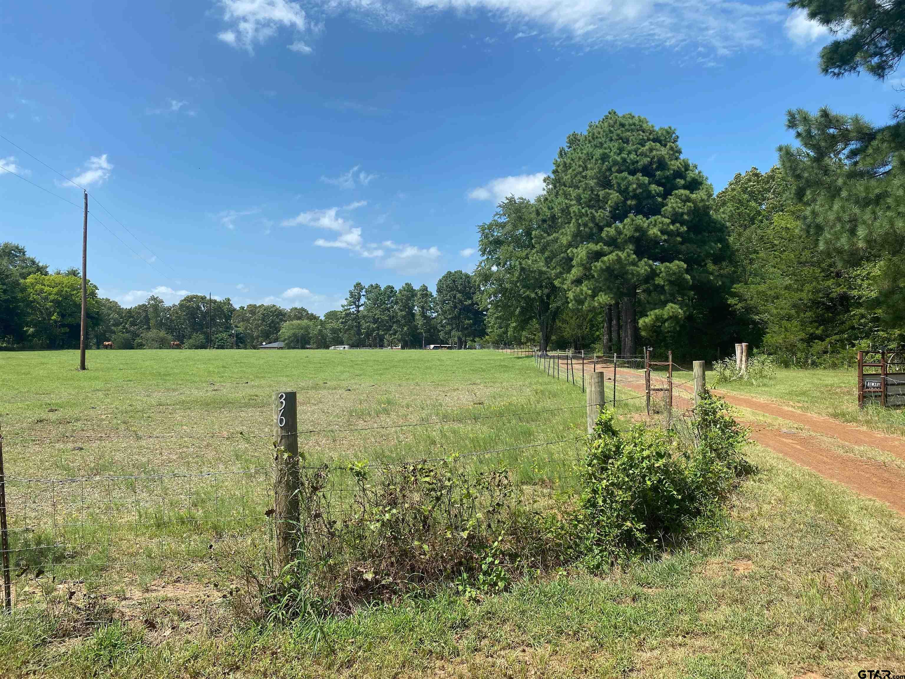 3640 VZ County Road Ben Wheeler, TX 75754 - Photo 26 of 30 a view of a field with a tree